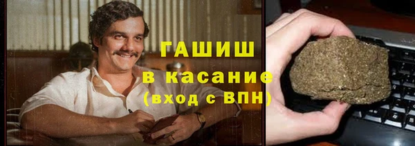 сатива Няндома