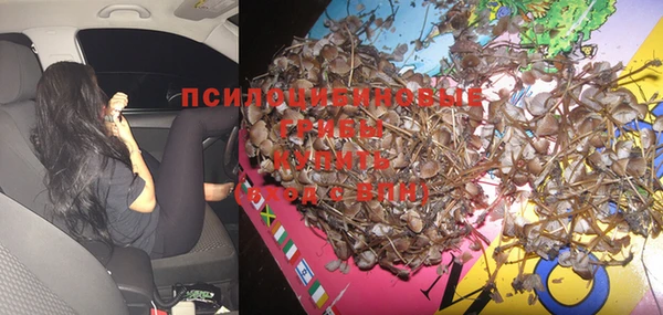 сатива Няндома
