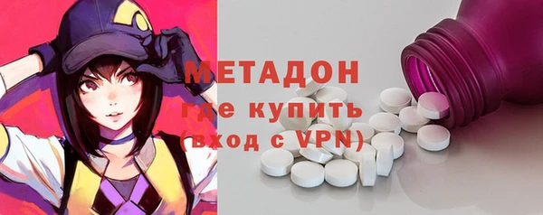 сатива Няндома