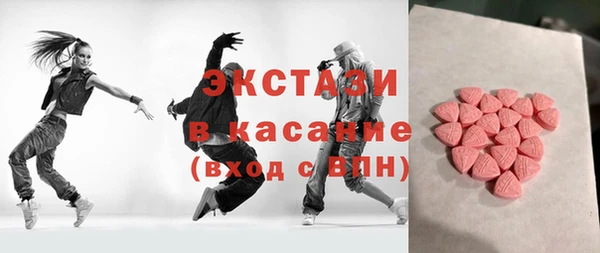 сатива Няндома