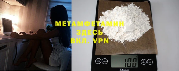 сатива Няндома