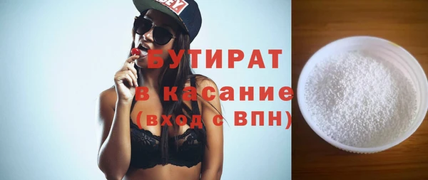 сатива Няндома