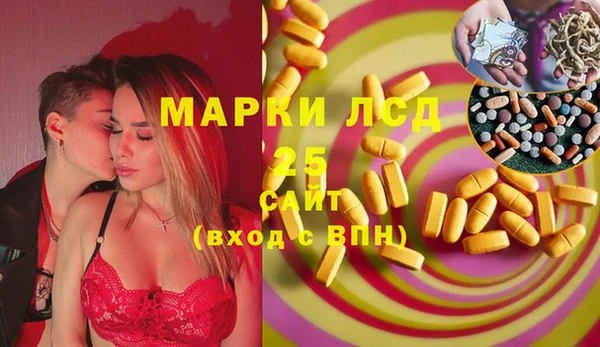 сатива Няндома