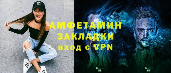 сатива Няндома