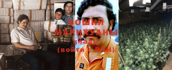 сатива Няндома