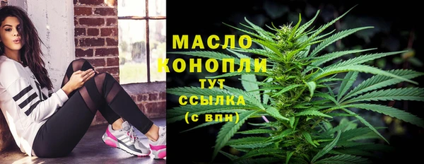 сатива Няндома
