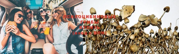 сатива Няндома