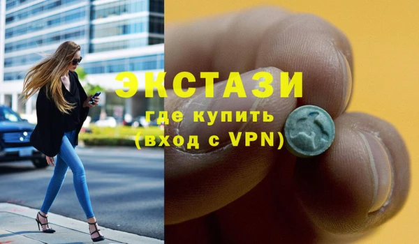 сатива Няндома