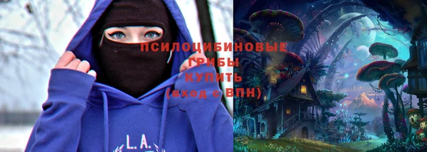сатива Няндома