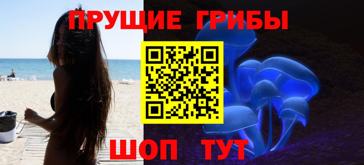 Псилоцибиновые грибы прущие грибы  Кинешма  Псилоцибиновые грибы прущие грибы 