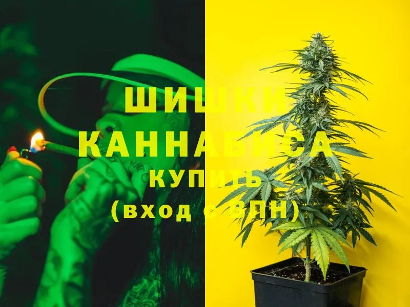 Конопля Bruce Banner  Кинешма 